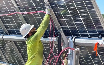 What to Do if Your Solar Company Goes Out of Business